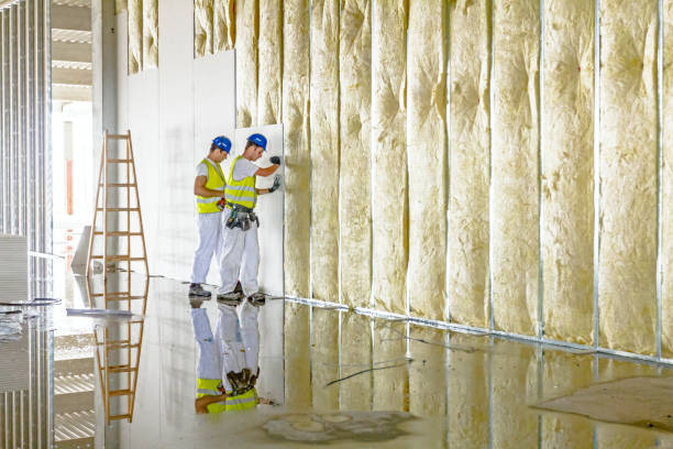 Best Commercial Insulation in Northeast Ithaca, NY